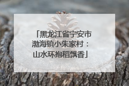黑龙江省宁安市渤海镇小朱家村：山水环抱稻飘香