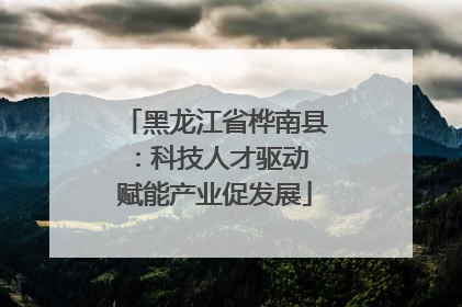 黑龙江省桦南县：科技人才驱动 赋能产业促发展