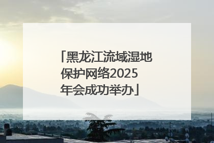 黑龙江流域湿地保护网络2025年会成功举办