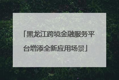 黑龙江跨境金融服务平台增添全新应用场景
