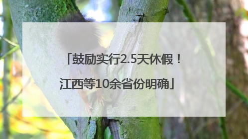 鼓励实行2.5天休假！江西等10余省份明确