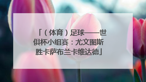 （体育）足球——世俱杯小组赛：尤文图斯胜卡萨布兰卡维达德