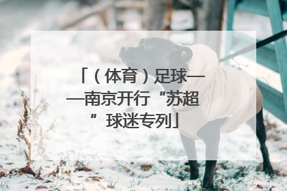 （体育）足球——南京开行“苏超”球迷专列