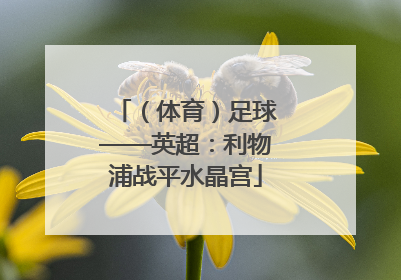 （体育）足球——英超：利物浦战平水晶宫