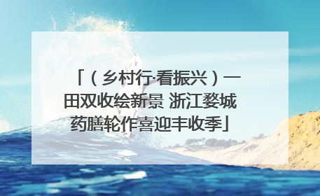 （乡村行·看振兴）一田双收绘新景 浙江婺城药膳轮作喜迎丰收季