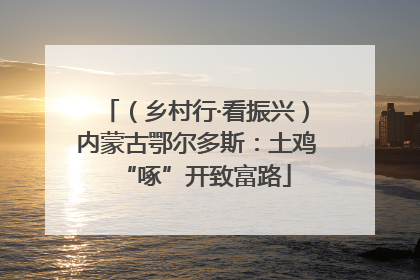 （乡村行·看振兴）内蒙古鄂尔多斯：土鸡“啄”开致富路