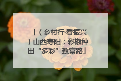 （乡村行·看振兴）山西寿阳：彩椒种出“多彩”致富路
