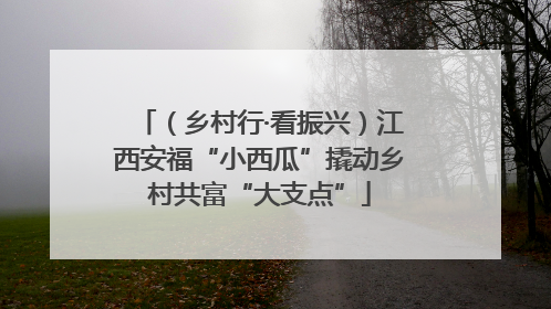 （乡村行·看振兴）江西安福“小西瓜”撬动乡村共富“大支点”