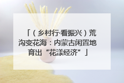 （乡村行·看振兴）荒沟变花海：内蒙古闲置地育出“花漾经济”