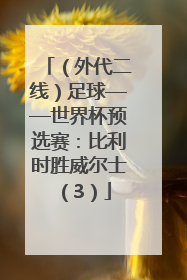（外代二线）足球——世界杯预选赛：比利时胜威尔士（3）