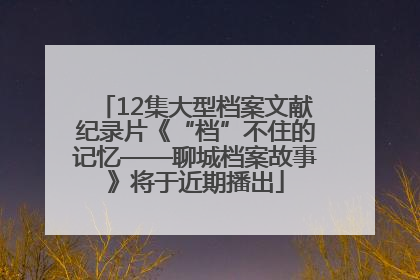 12集大型档案文献纪录片《“档”不住的记忆——聊城档案故事》将于近期播出