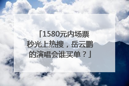 1580元内场票秒光上热搜，岳云鹏的演唱会谁买单？