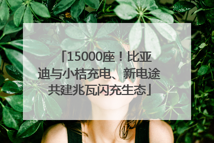 15000座！比亚迪与小桔充电、新电途共建兆瓦闪充生态