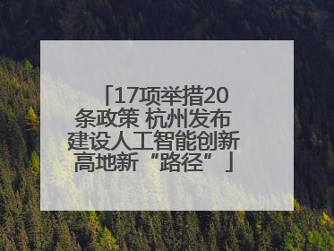 17项举措20条政策 杭州发布建设人工智能创新高地新“路径”