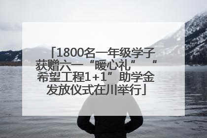 1800名一年级学子获赠六一“暖心礼” “希望工程1+1”助学金发放仪式在川举行