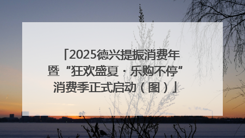 2025德兴提振消费年暨“狂欢盛夏・乐购不停”消费季正式启动（图）