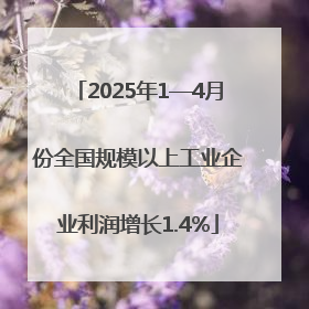 2025年1—4月份全国规模以上工业企业利润增长1.4%