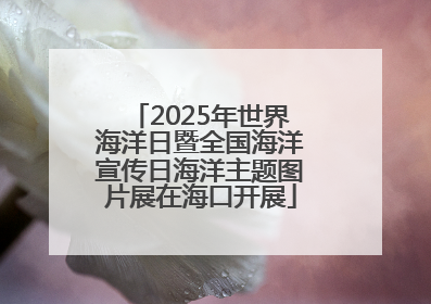 2025年世界海洋日暨全国海洋宣传日海洋主题图片展在海口开展