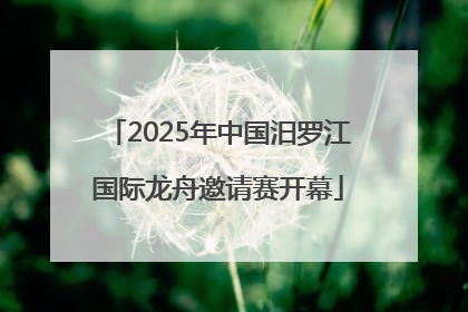 2025年中国汨罗江国际龙舟邀请赛开幕