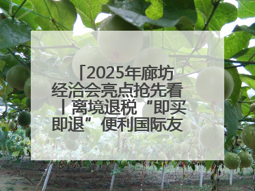 2025年廊坊经洽会亮点抢先看丨离境退税“即买即退”便利国际友人“买买买”