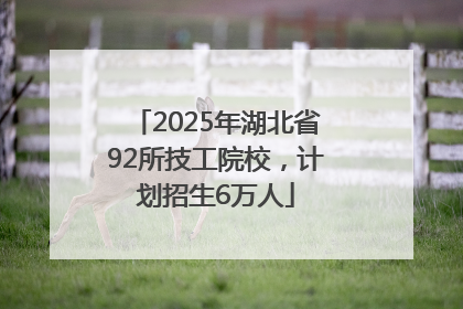 2025年湖北省92所技工院校，计划招生6万人