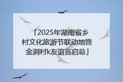 2025年湖南省乡村文化旅游节联动地暨金洞村k友谊赛启幕