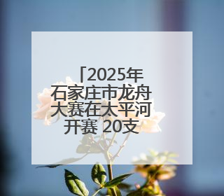 2025年石家庄市龙舟大赛在太平河开赛 20支龙舟队参赛