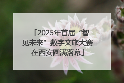 2025年首届“智见未来”数字文旅大赛在西安圆满落幕