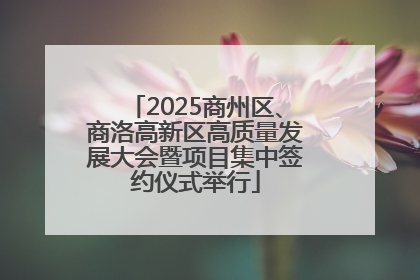 2025商州区、商洛高新区高质量发展大会暨项目集中签约仪式举行