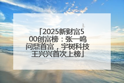 2025新财富500创富榜：张一鸣问鼎首富，宇树科技王兴兴首次上榜