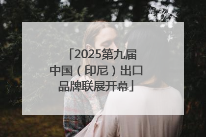 2025第九届中国（印尼）出口品牌联展开幕