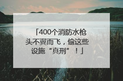 400个消防水枪头不翼而飞，偷这些设施“真刑”！