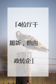 4位厅干履新，他由政转企