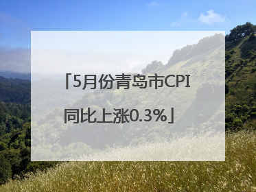 5月份青岛市CPI同比上涨0.3%