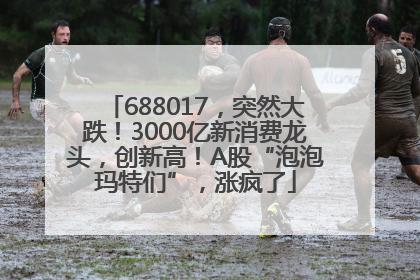 688017，突然大跌！3000亿新消费龙头，创新高！A股“泡泡玛特们”，涨疯了