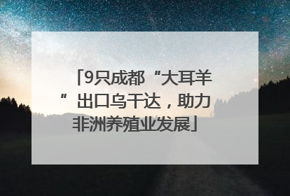 9只成都“大耳羊”出口乌干达，助力非洲养殖业发展