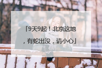 9天9起！北京这地，有蛇出没，请小心