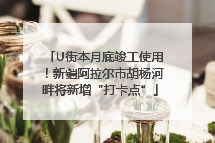 U街本月底竣工使用！新疆阿拉尔市胡杨河畔将新增“打卡点”